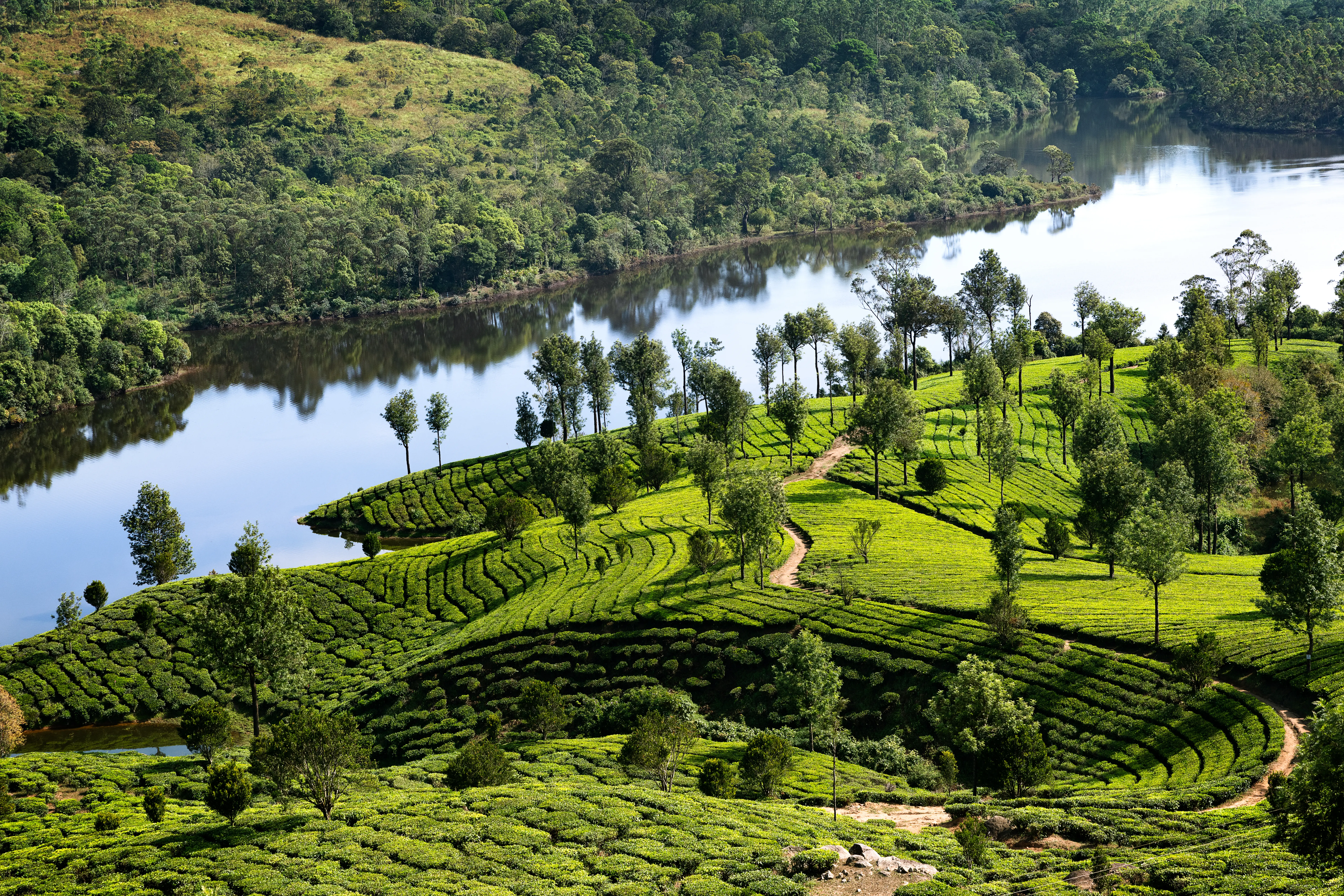 Kerala lake